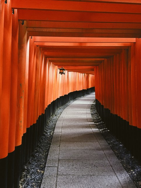 Processed with VSCO with fr4 preset