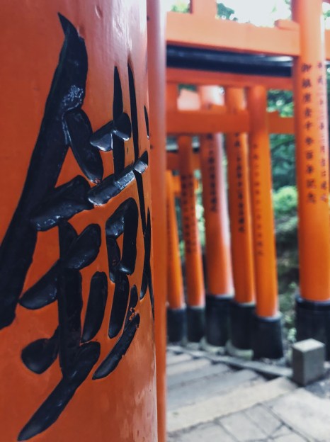 Processed with VSCO with av4 preset