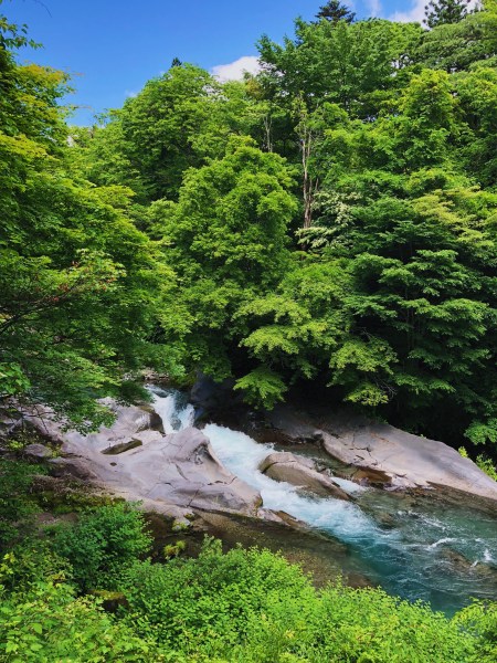 449D0949-A33C-4314-B794-936C32CC65F5