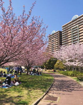 AEDA9E6F-53EC-4188-B4FA-54F7344E1995